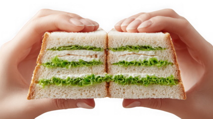 Hands holding a delicious sandwich cut in half, revealing layers of filling, isolated on transparent background