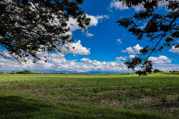 View of the beautiful cultivation fields on the fertile lands of the Valle del Cauca region in Colombia