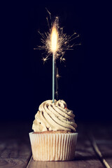 Cupcake with Sparkler Candle Celebration