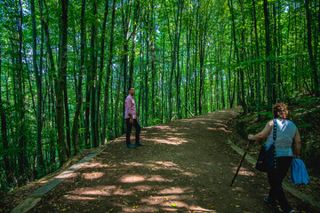 Obraz premium hiking in the forest