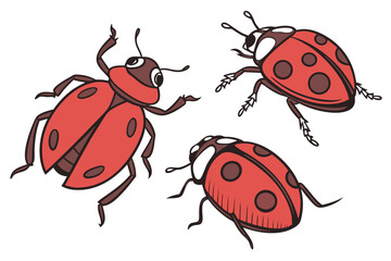 vector illustration of a ladybug