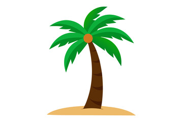palm tree on white background