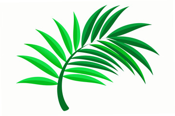 palm tree leaf