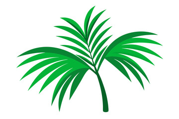 palm leaf isolated on white
