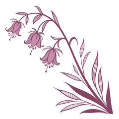 heather pink flower with leaves 