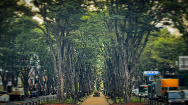 city street in sendai japan