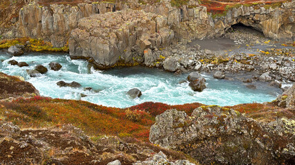 lichen on rocks near rushing stream in Iceland