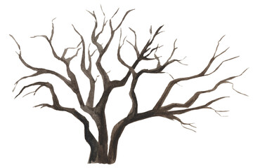 Obraz premium Hand drawn watercolor illustration of a bare bush, shrub, tree without leaves, realistic illustration, isolated on a transparent background