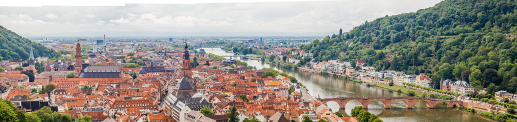 Overhead view of Heidelberg's red-tiled roof cityscape and riverside elegance.