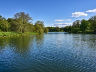 Serene Lakeside, Trees and Sky, Ripples of Water, Natures Tranquil Moment.
