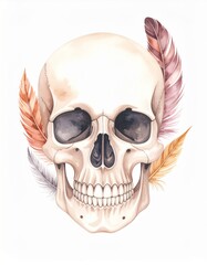 Obraz premium Watercolor Skull with Feathers in Brown Purple and Orange Isolated on White