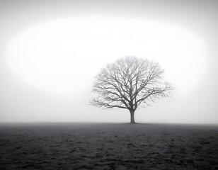 Fototapeta premium Black and White Solitary Tree in a Foggy Field - Minimalist Nature Art