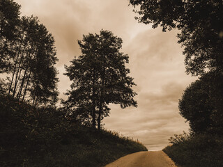 Lonely countryside road leading uphill through trees under dramatic cloudy sky, rural travel...