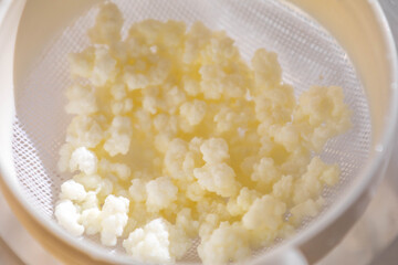 Kefir grains originate from the Caucasus Mountains. Natural probiotic composed of yeast and...