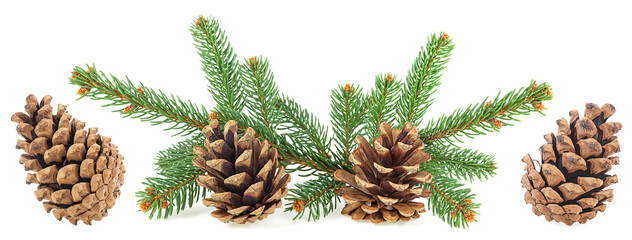 Christmas decoration isolated on a white background, long web banner. Christmas cones with fir branches collection.