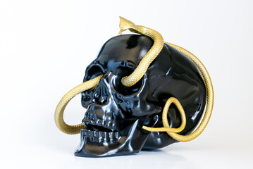 Handmade Black Skull with Slithering Golden Cobra Snake