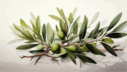 Obraz premium Olive branch vector illustration, elegant minimal design, white transparent background vector