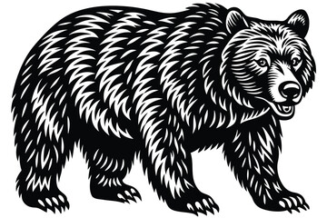 Fototapeta premium grizzly vector
