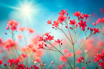 Photo of vibrant red flowers blooming under a bright, sunny sky with a radiant sunburst, showcasing the beauty of nature in full bloom during a warm and cheerful spring or summer day