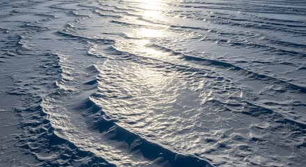 Snow drifts on a frozen landscape reflecting sunlight, creating a textured winter scene.