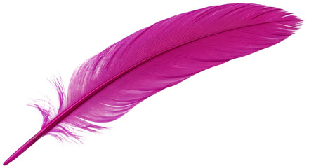A single vibrant pink feather isolated on a transparent background, showcasing its delicate structure and bright color