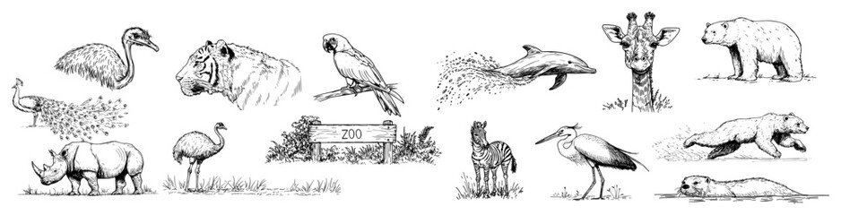 Zoo wildlife doodle icon set vector © Kaz