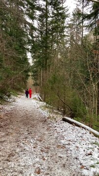 A frosty winter hike to Tomasovsky view, a stunning rock formation offering breathtaking vistas in Slovensky Raj National Park, Slovakia