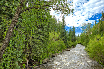 Breath taking views found while traveling along Holy Ghost Creek in the mountains of the Santa Fe...