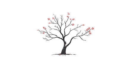 A delicate tree in full bloom showcasing the beauty of nature.