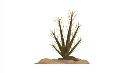 Small green plant growing on sandy ground.