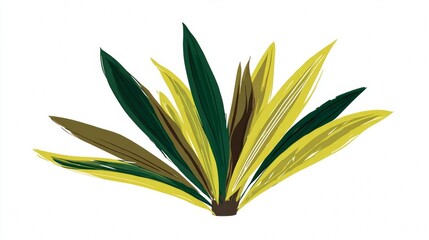 Tropical plant with green and yellow leaves isolated on white background.