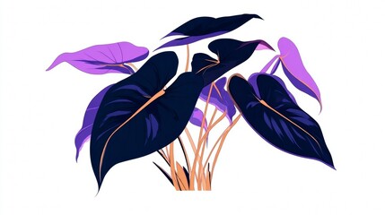 Tropical plant with dark blue and purple leaves illustration.