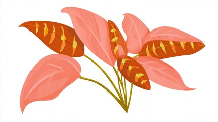 Colorful Calathea Plant with Pink and Brown Leaves.