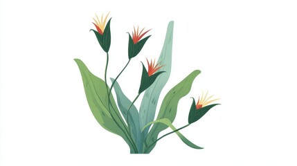 Watercolor illustration of a bird of paradise plant with green leaves and vibrant flowers.