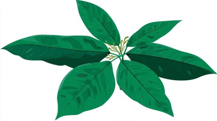Green leaves arranged in a floral pattern with a white center.