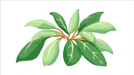 Illustration of a green leafy branch with white veins on a white background.