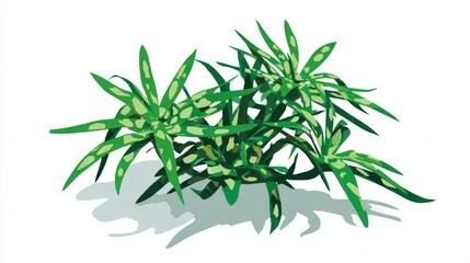 Bamboo plant with green leaves on white background.