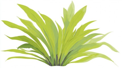 Vibrant Green Tropical Plant with Long Leaves Isolated on White.