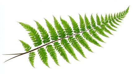 Would you like me to generate a similar descriptive string for a different type of plant?