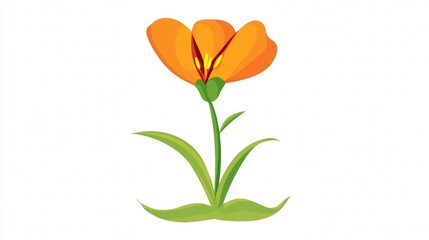 A single beautiful orange tulip blossom with a green stem and leaf is isolated on a white background, showcasing the vibrant spring color and floral beauty of this nature-inspired plant
