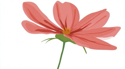 A beautiful macro blossom of a red dahlia flower isolated on a white background captures the summer garden beauty of a natural floral plant in full bloom