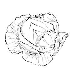 Meat and Vegetables Line Art Collection