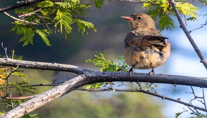 Bird perched on a branch (1)