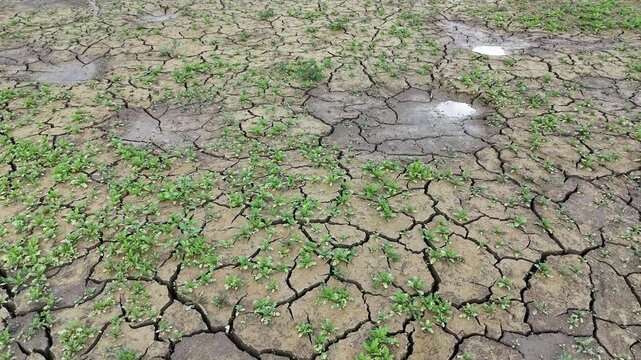 fond d'un plan d'eau ass&eacute;ch&eacute;, la terre est craquel&eacute;e, on voit les fissures entre les flaques d'eau avec un peu de v&eacute;g&eacute;tation, et le reflet des nuages dans l'eau 