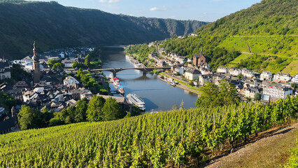 Wine region of the Mosel Valley. Wine tourism Cochem, Rhineland-Palatinate, Germany August 2, 2025