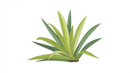 Fototapeta premium Illustration of a plant with long, pointed leaves in shades of green and yellow.