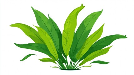 Obraz premium Illustration of a vibrant green aquatic plant with long, slender leaves, perfect for aquariums.