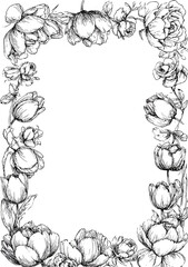 Obraz premium A white blank rectangular frame with beautiful floral border drawn in black ink on paper with roses and tulips perfect for creating charming clipart or framin