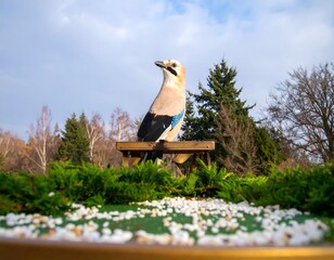 Bird perched on a small wooden seat