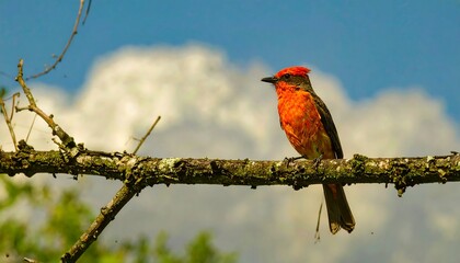 Bird perched on branch (1)